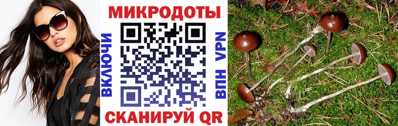OMG зеркало  Михайловск  Галлюциногенные грибы мицелий 